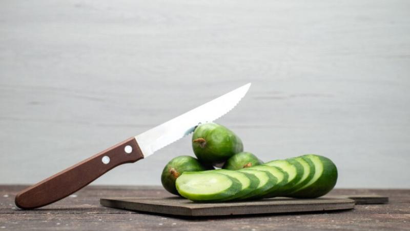 Facas para Picadores: A Melhor Escolha
